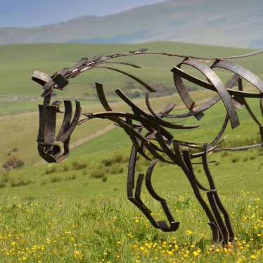 Shire Horse plodding through a field of buttercups. Metal Wildlife Sculpture by Andrew Kay Sculpture