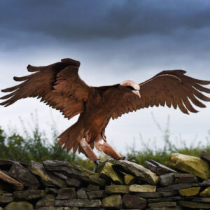 Golden Eagle swooping dow on its prey. Life Size Bronze Metal Wildlife Sculpture by Andrew Kay Sculpture