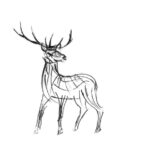 The Creative Process – Wildlife Sculpture Sketch of a majestic Stag by Andrew Kay