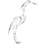 The Creative Process – Wildlife Sculpture Sketch of a Wild Heron Standing by water by Andrew Kay