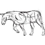 The Creative Process – Wildlife Sculpture Sketch of a Shire Horse pulling a wagon by Andrew Kay
